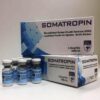 Hilma Biocare Somatropin 100iu HGH injection kit