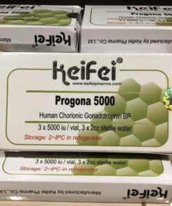 Keifei Pharma Progona 3 x 5000iu HCG vials