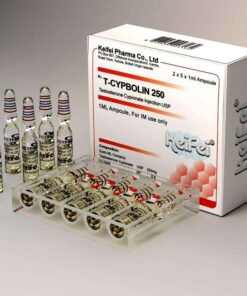 Keifei Pharma Testosterone Cypionate 250mg injection amps